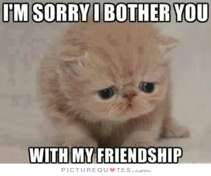 Sorry I Bothered You Quotes Quotesgram