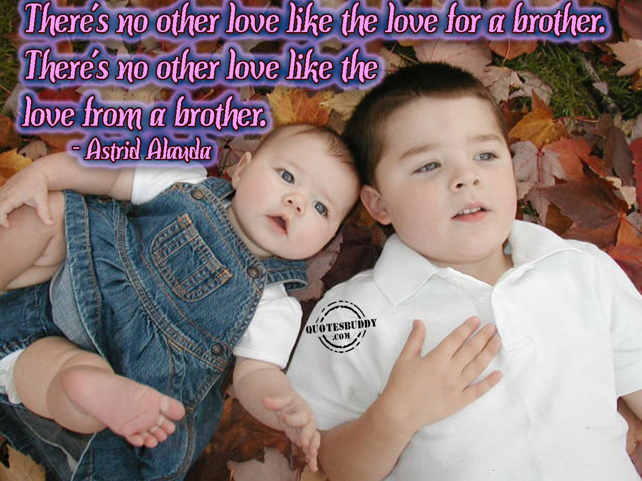Brother Sister Love Quotes Quotesgram