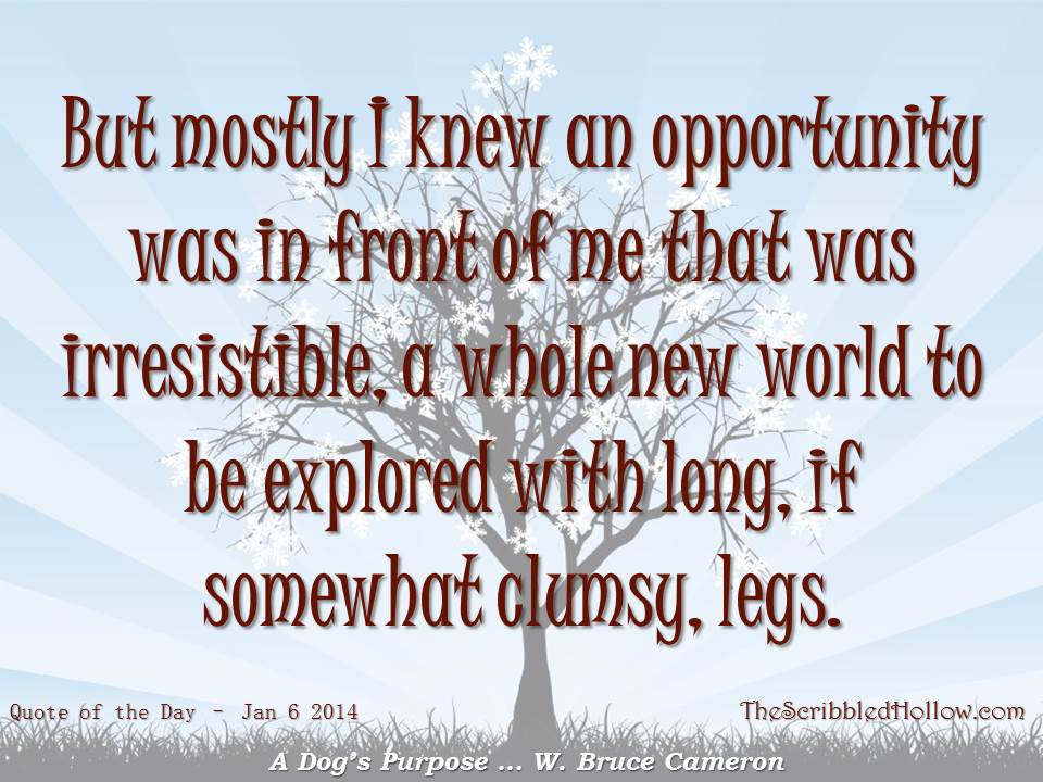 Quotes A Dog S Purpose. QuotesGram