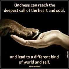 Quotes About Kindness To Animals. QuotesGram