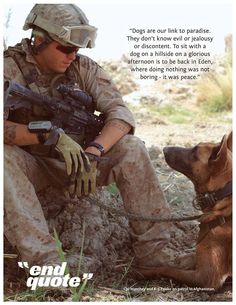 Quotes About Service Dogs. QuotesGram