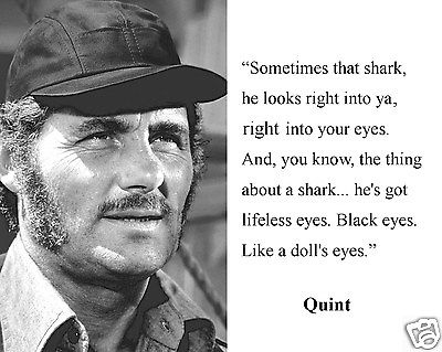 Jaws Movie Quotes Famous QuotesGram