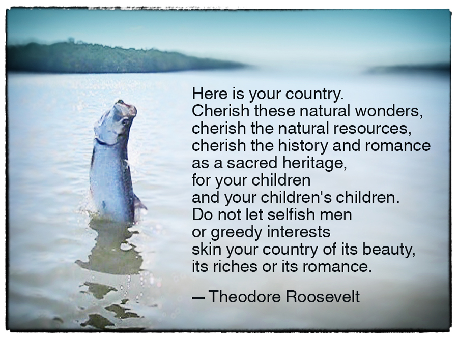 Theodore Roosevelt Nature Quotes. QuotesGram