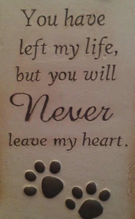 Quotes On Our Pets QuotesGram Quotes On Our Pets QuotesGram