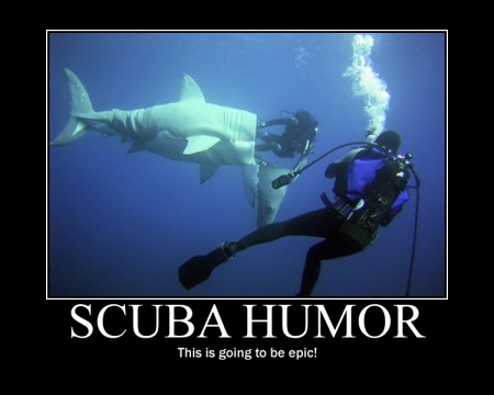 Scuba Dive Quotes. QuotesGram Scuba Dive Quotes. QuotesGram