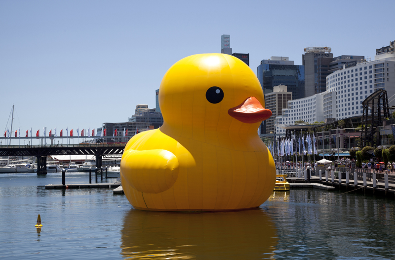 Rubber Duck Quotes. QuotesGram Rubber Duck Quotes. QuotesGram