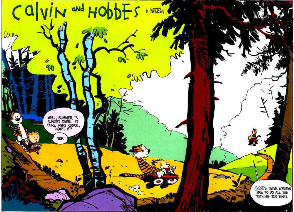 Calvin And Hobbes Goodbye Quotes. QuotesGram