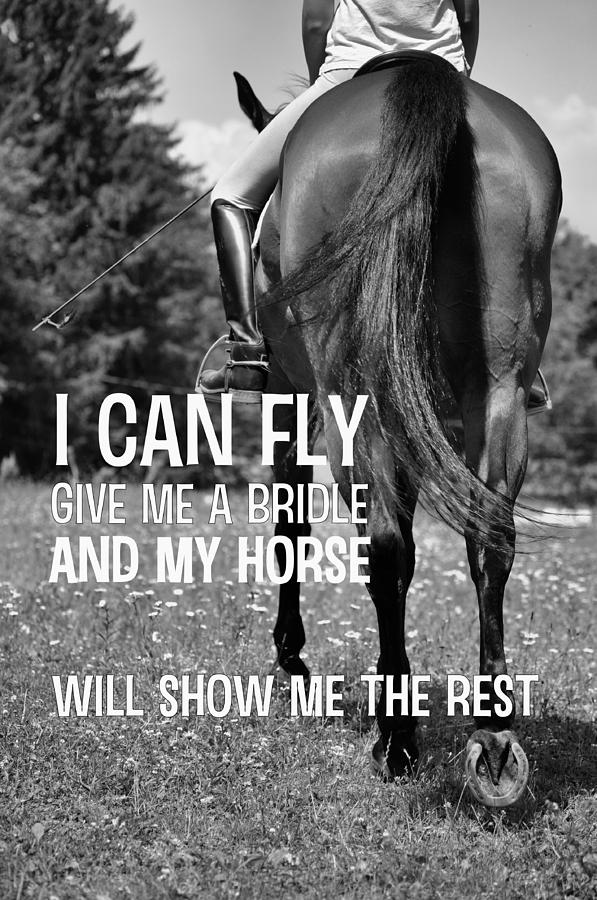 Jumping Horse Quotes Inspirational. QuotesGram