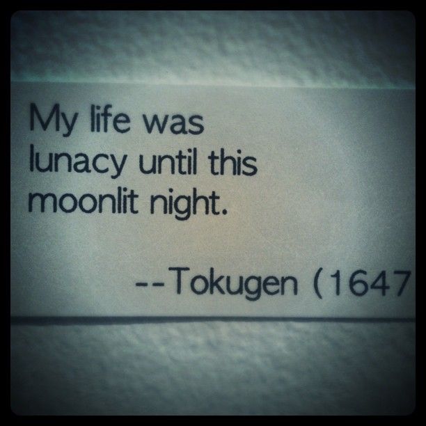 Lunacy Quotes. QuotesGram