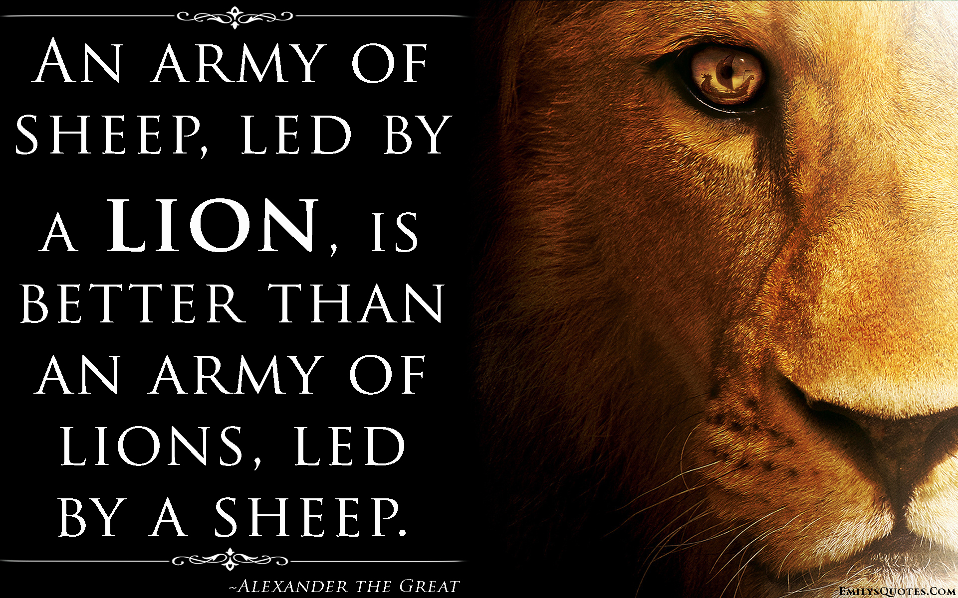 Military Quotes On Fear Quotesgram Military Quotes On Fear Quotesgram
