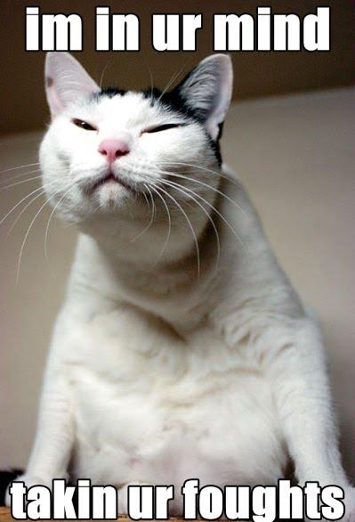 Cute Animal Quotes And Sayings QuotesGram cute-animal-quotes-and-sayings-quotesgram