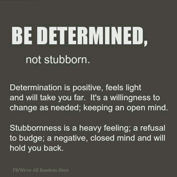 being-stubborn-quotes-quotesgram