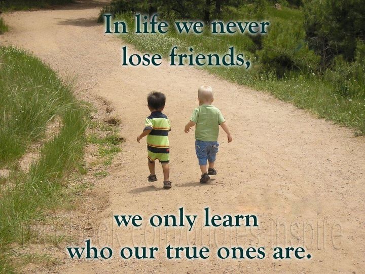 Quotes About Learning From Losing. QuotesGram