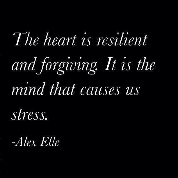 Heart Vs Mind Quotes Quotesgram Heart Vs Mind Quotes Quotesgram