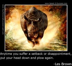 scott alexander author rhinoceros success scott alexander author rhinoceros success