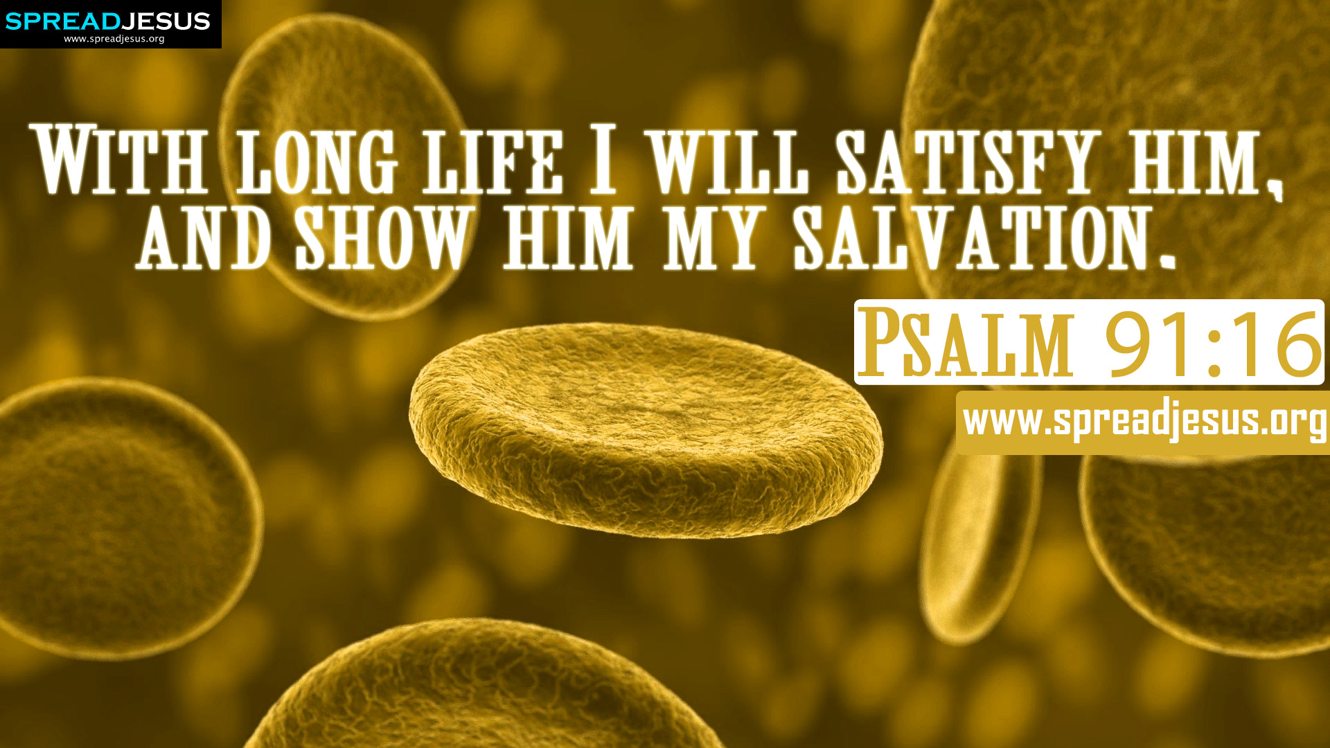 bible-quotes-psalm-91-quotesgram