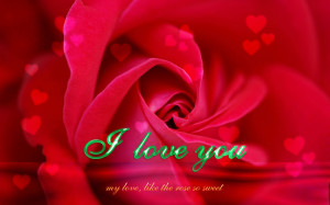my-love-like-the-rose-so-sweet-love-you.jpg