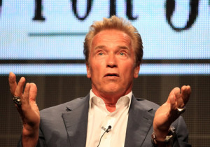 arnold stupid quotes Funny Quotes About Men Being Idiots