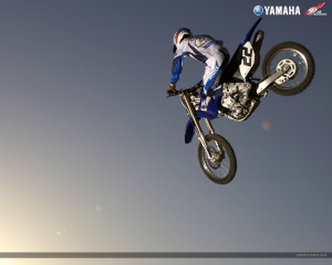 Funny Quotes Contact Us DMCA Notice