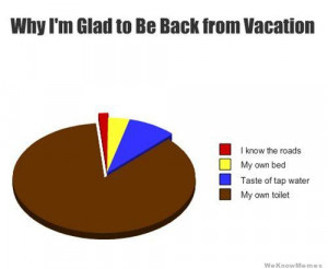 Why I’m glad to be back from vacation – graph