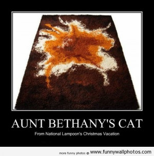 Aunt Bethany's cat | Funny Wall Photos