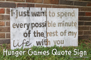 top-hunger-games-quote-sign-with-barnwood-010.jpg