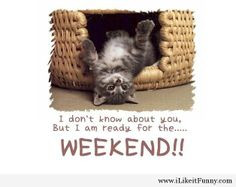 Funny weekend quote image 2014 happy friday, anim, friday funnies, cat ...