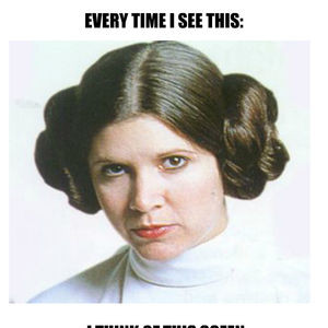 Princess Leia?