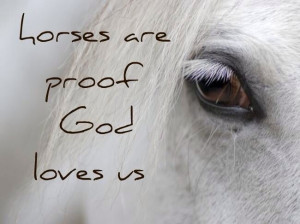 Horses are proof god loves us