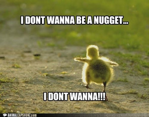 ... Funny animals with sayings, Funny quotes about animals, Funny animals
