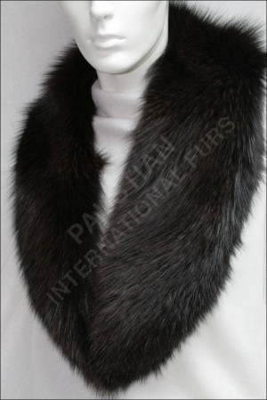 Saga Blue Fox Fur Collar In Brown Material picture