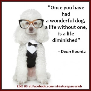 Dean Koontz quote, repin and share with all dog lovers