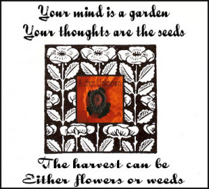 Thursday, October 9, 2008