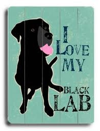 love my black lab!!