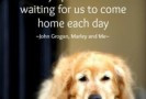 147 Dog Quotes And Pet Quotes