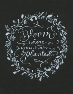 ... are planted more bloom where you are planted art calligraphy remember
