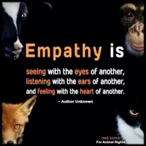 Pinned by Kris de Smid