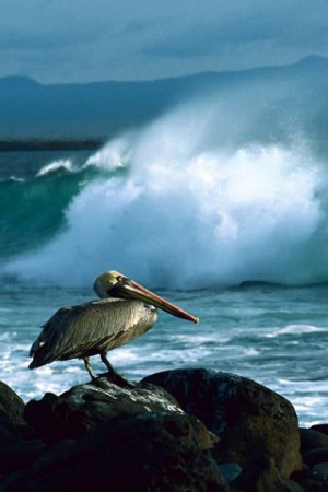 Found on hdiphonewallpaper.com