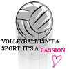 Love Volleyball Quotes...
