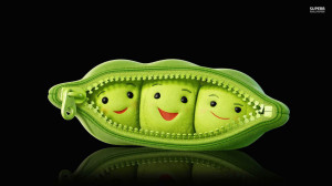 Free Funny Wallpapers, Pics, Quotes And Photos Some HD