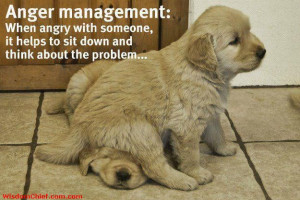 Motivational Monday Quote About Life: Anger Management + Dog Humor ...