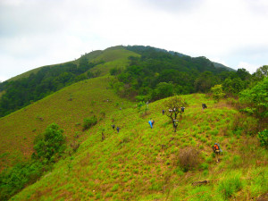 Funny Quotes Contact Dmca...