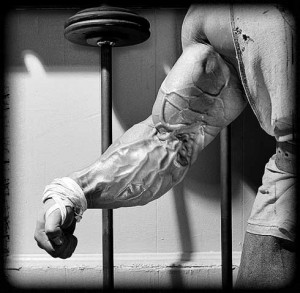 Get out of my face”-AnimaPack