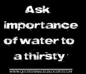 Ask importance of water to a thirsty.