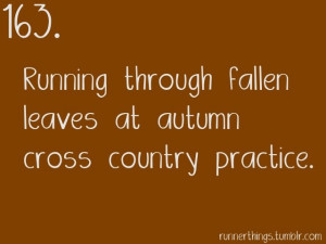 ... 1553: Running through fallen leaves at autumn cross country practice