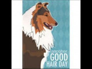 Collie Good Hair Day Magnet