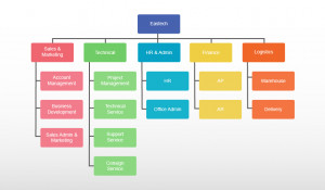 Company structure