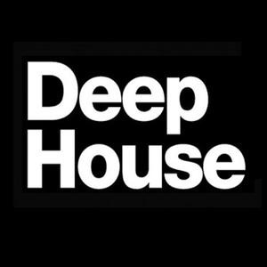 DJ Nechis – First_deep_twitch_set_07_2012 (100 MB)