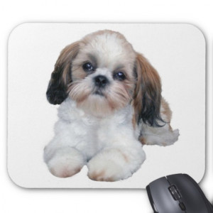 Chiot Mousepad de Shih Tzu Tapis De Souris