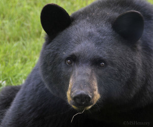 Funny Quotes Contact Dmca...